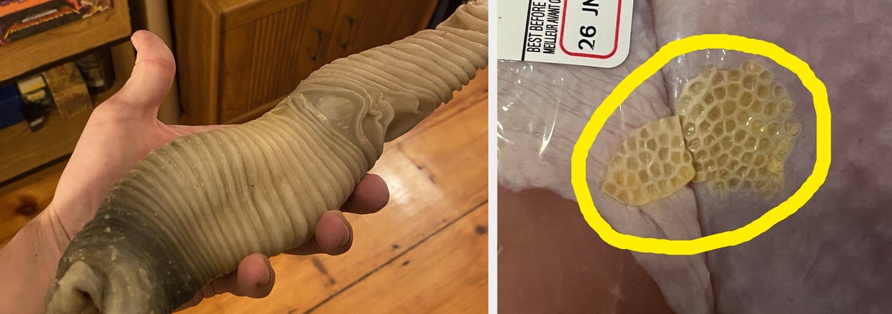 "What Is Happening Here?!?!?!": 30 Absurd "Objects" That Left Everyoneeeee Confused And Uncomfortable Until The Internet Solved The Mystery