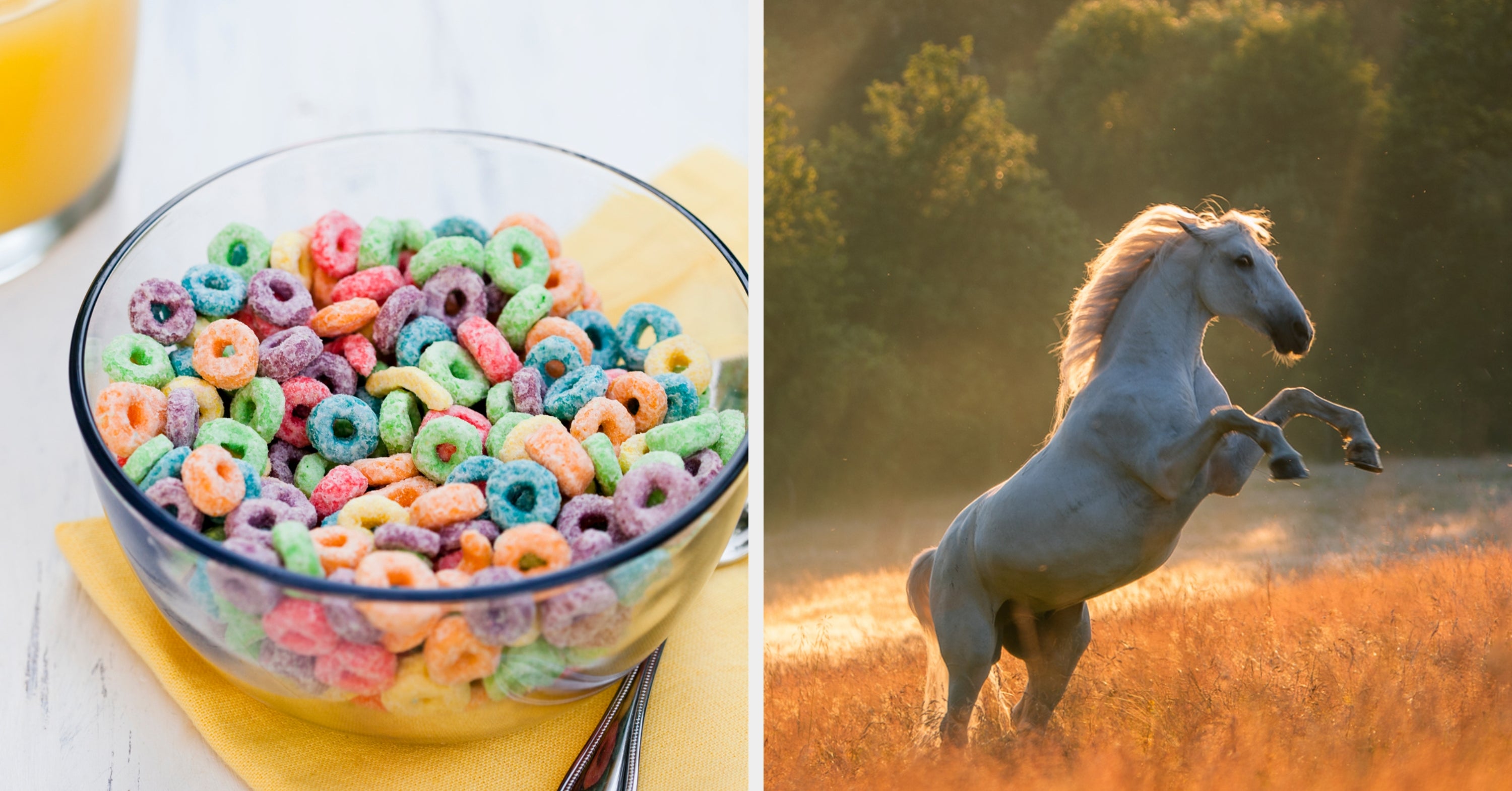 What Wild Zoo Animal Encapsulates Your Spirit? Eat ONLY Breakfast Foods To Find Out