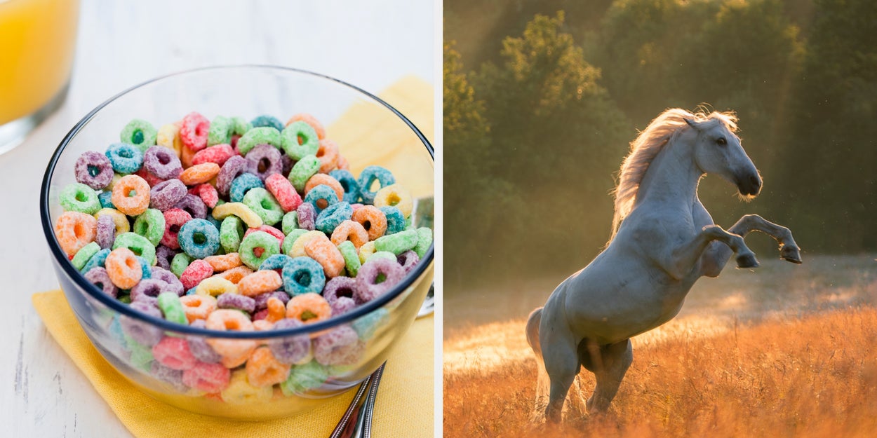 Eat Some Breakfast Foods And I'll Reveal Your Inner Zoo Animal