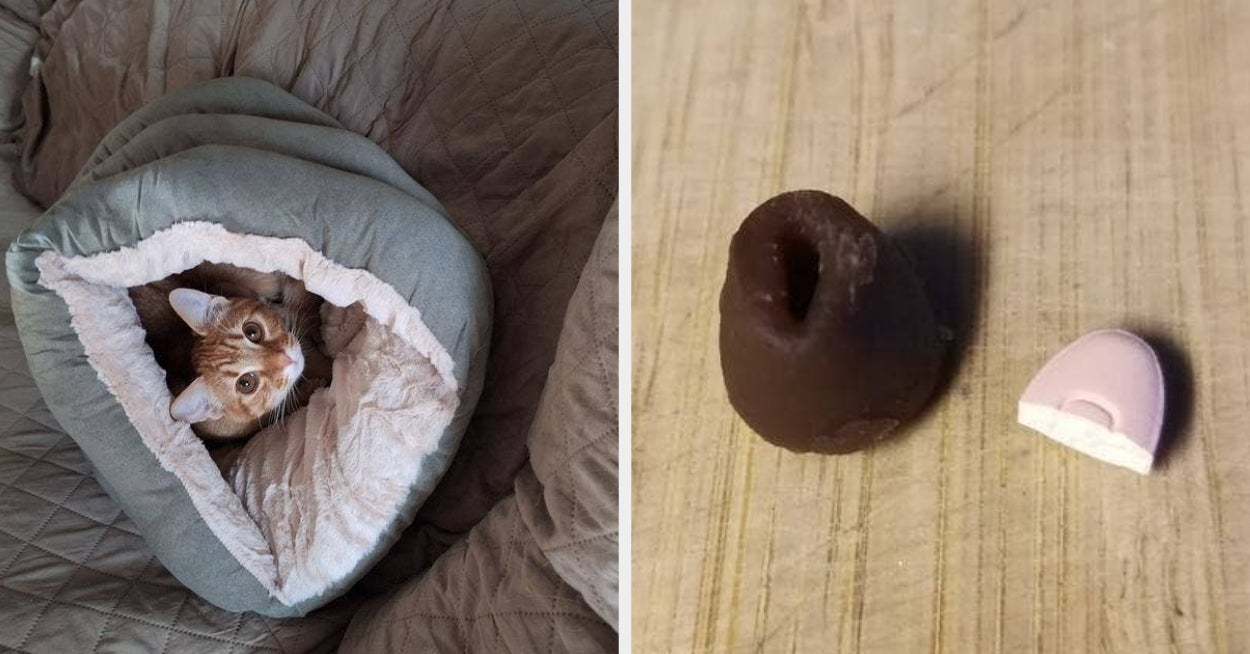 27 Things From Chewy Cat Owners Should Run, Not Walk, To Buy