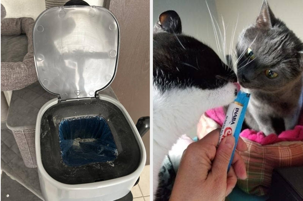 Automatic cat litter box on left; person feeds two cats a treat from a tube on right