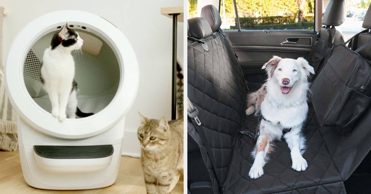 Reviewers Are Singing The Praises Of These 27 Pet Products From Chewy