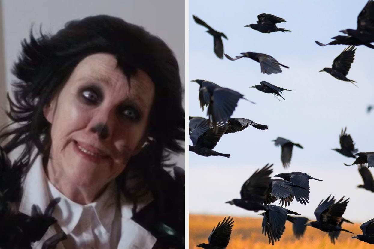 Moira from "Schitt's Creek" in dramatic crow-inspired costume with black feathers; birds flying in formation beside them
