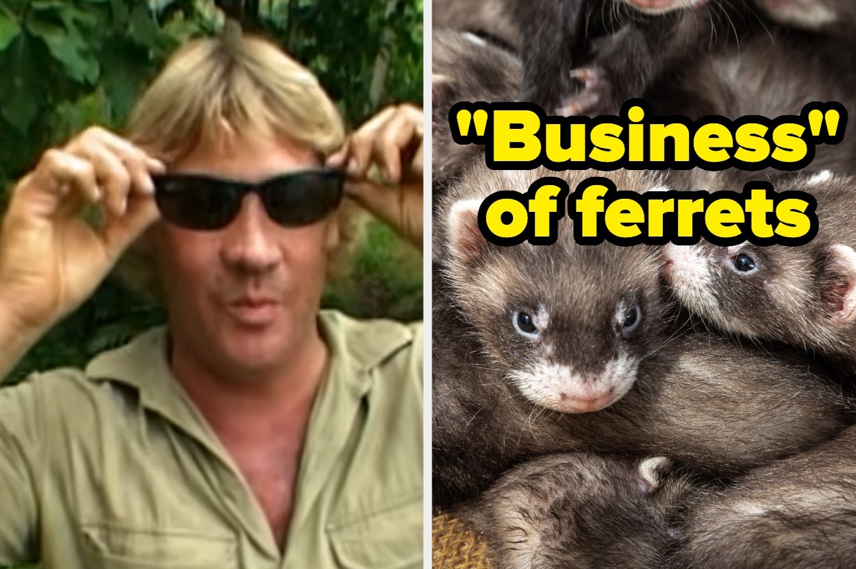 Steve Irwin adjusting sunglasses; group of ferrets with text: "Business" of ferrets