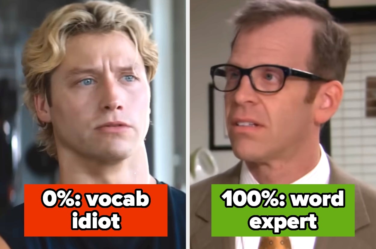 Split image: Left side shows a man labeled "0%: vocab idiot," right side shows a man in glasses labeled "100%: word expert."