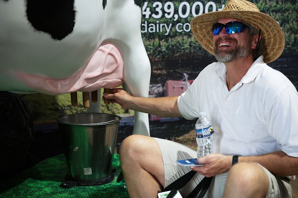Man wearing a straw chapeau and sunglasses milks a cattle statue portion smiling, holding a h2o bottle