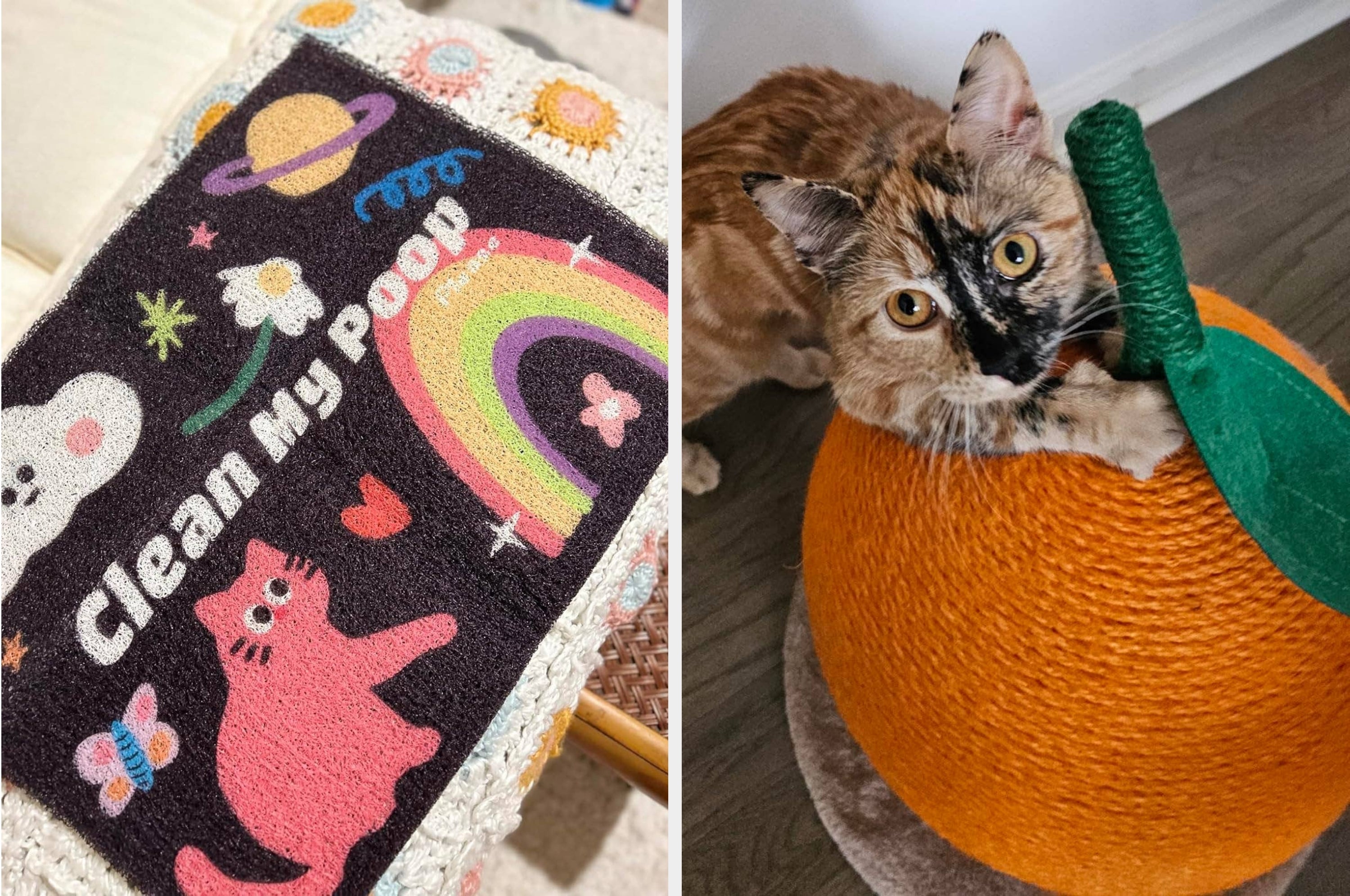 buzzfeed.com - Karly Jacklin - Refuse To Let Having Cats Ruin Your Aesthetic? Here Are 24 Items That'll Fit Your Home's Decor
