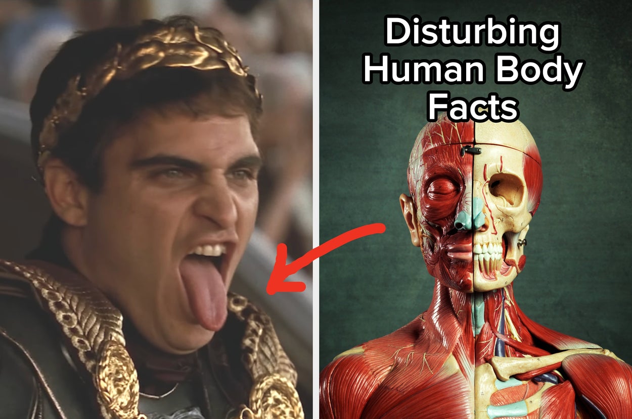 Man in Roman attire making a face, beside a detailed anatomical model of a human head and upper body