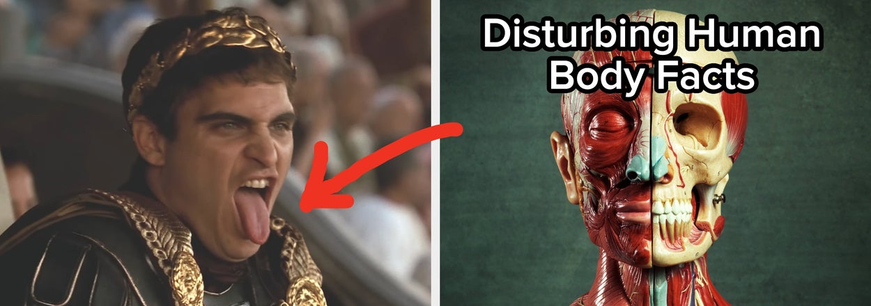 34 Genuinely Disturbing Facts About The Human Body That I Almost Wish I Could Unlearn