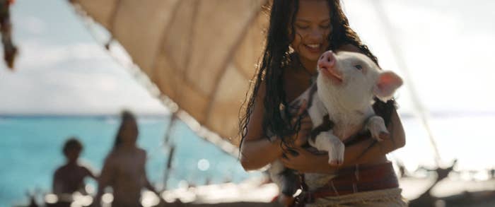 A woman joyfully holds a piglet by the sea, with boats and people in the background, capturing a playful and carefree moment
