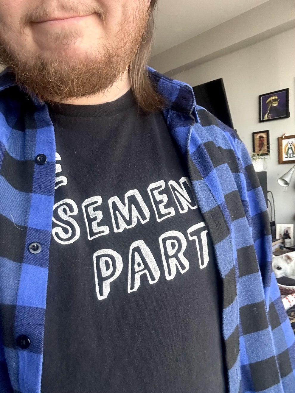 Person in plaid shirt with a beard, wearing a T-shirt with partially obscured text. Room in the background with framed pictures