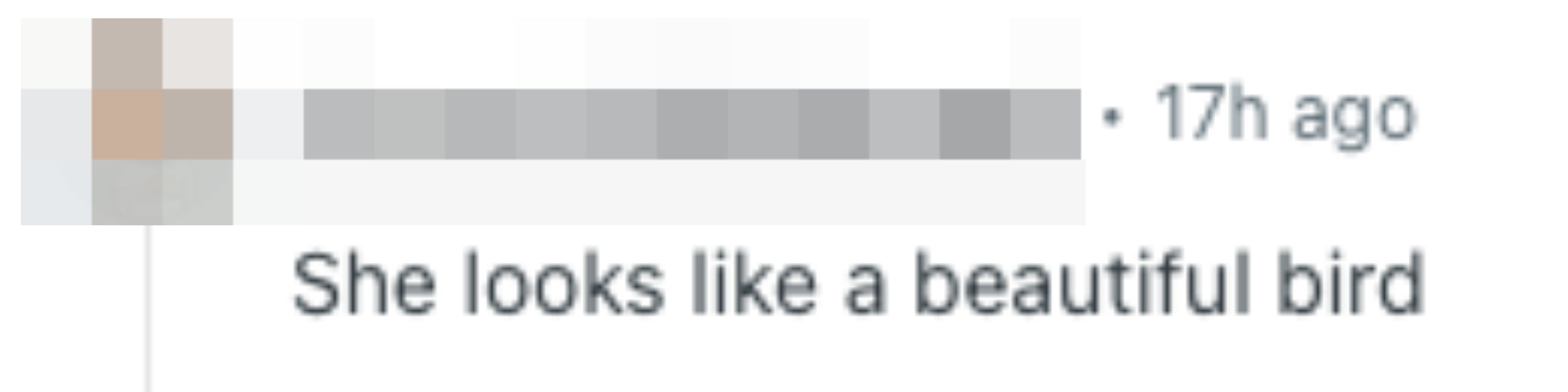 A comment stating, "She looks like a beautiful bird," with a profile icon next to it