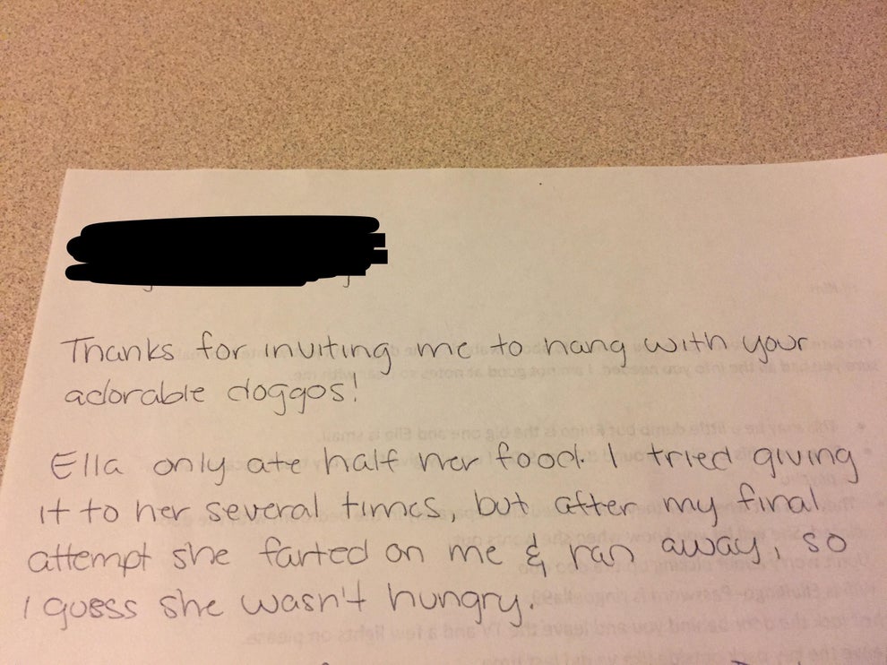 A handwritten note with a story about Ella, a dog, eating half her food and then running away after farting on the writer