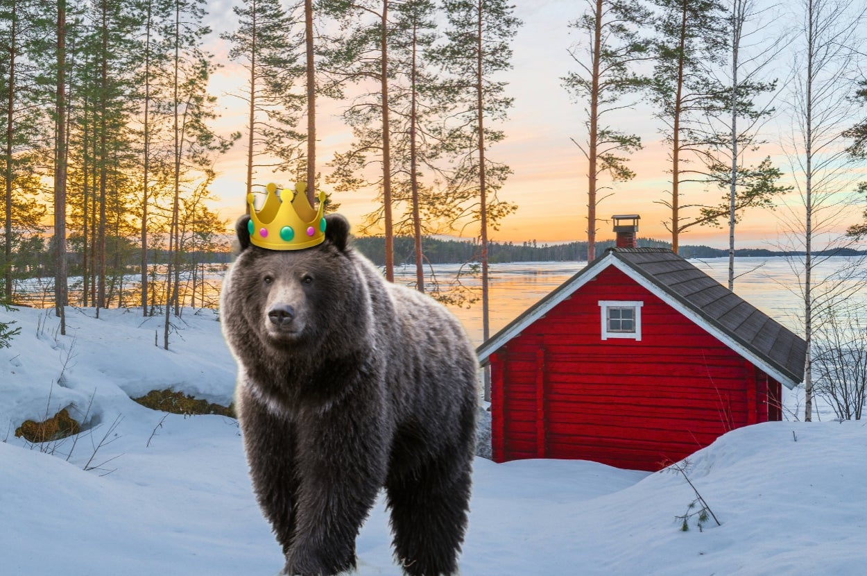 Spend A Quiet Autumn Month In An Isolated Cabin To See Which Stray Animal Adopts You