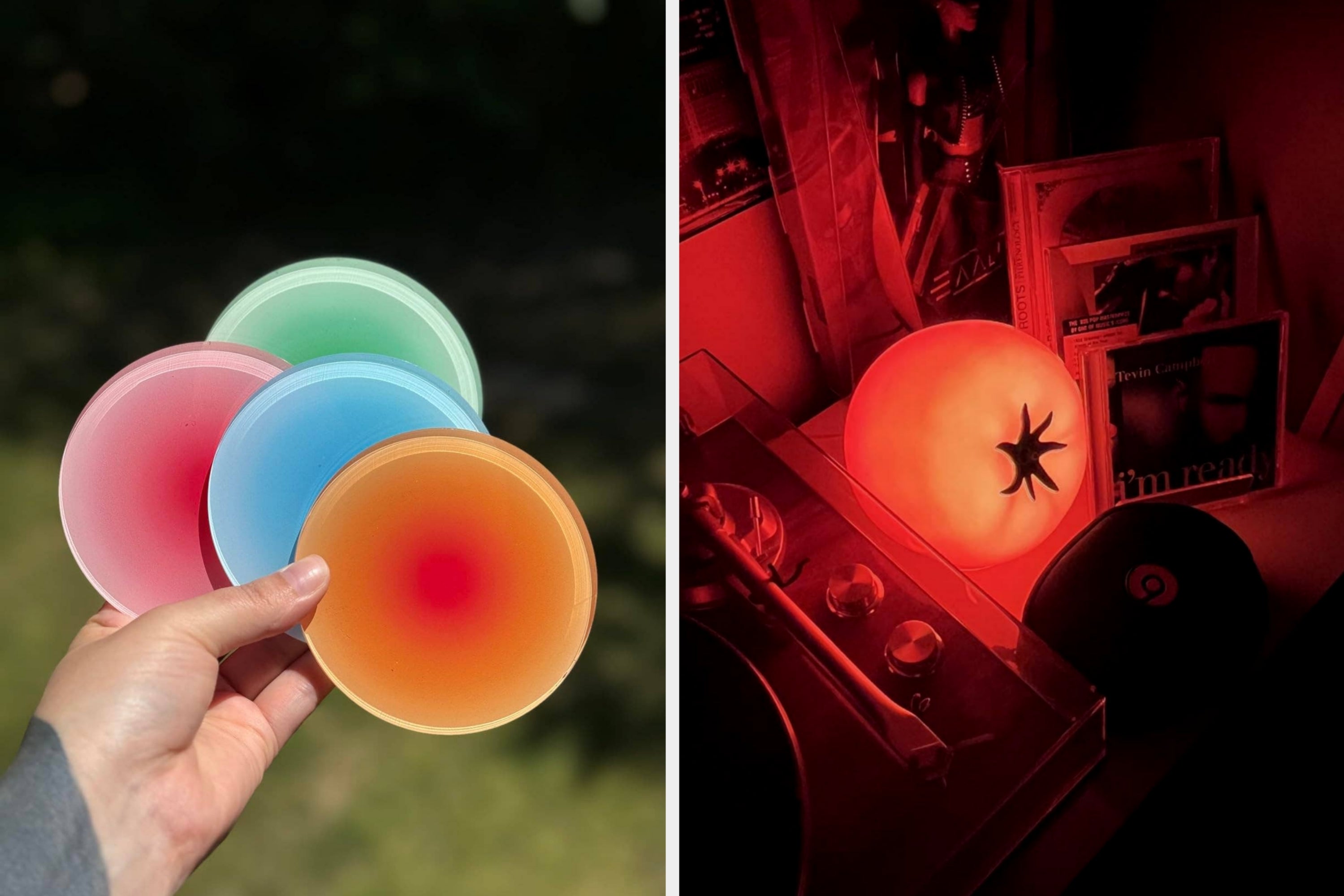 buzzfeed.com - Karly Jacklin - I Just Saved You Hours Of Amazon Searching By Finding These 27 Home Decor Items