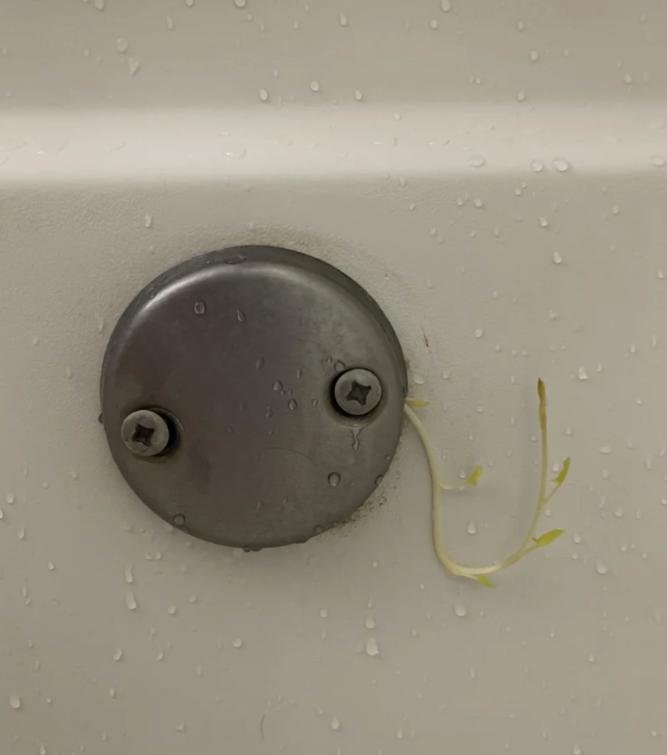 Small works sprouts from a metallic bath fixture surrounded by h2o droplets