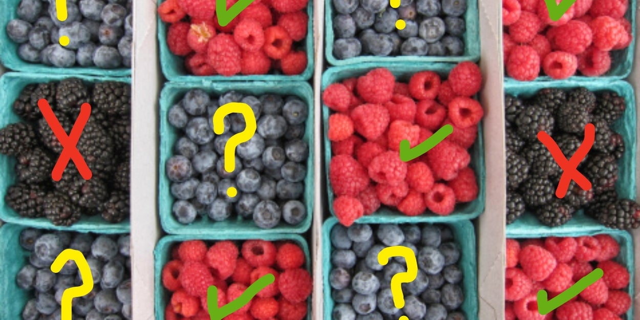 Peaches, Watermelon, And Strawberries, OH MY! Which Summer Fruit Remains Superior?