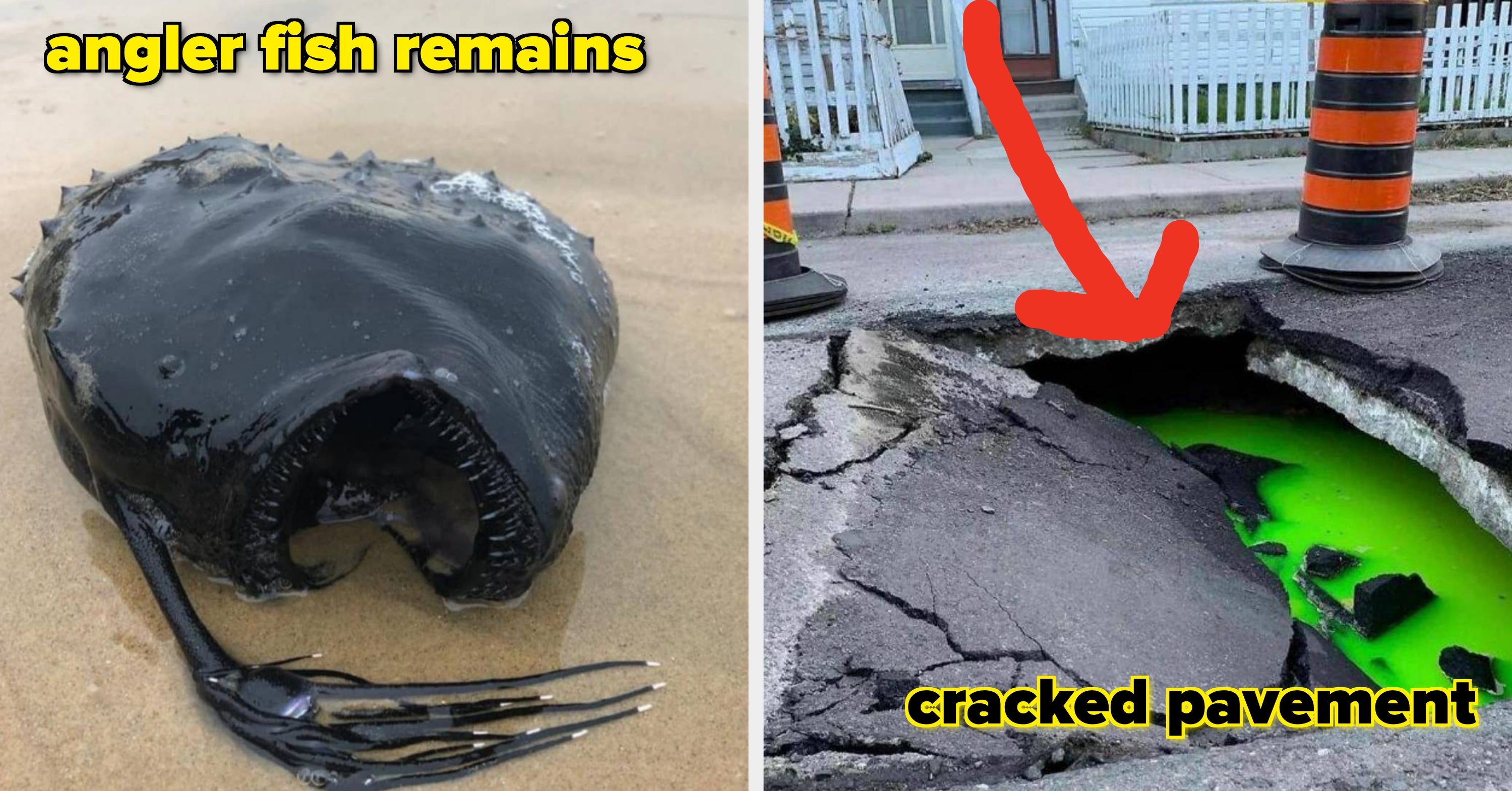 25 Creepy, Mind-Blowing Photos That Kept Me Up All Night After Seeing Them