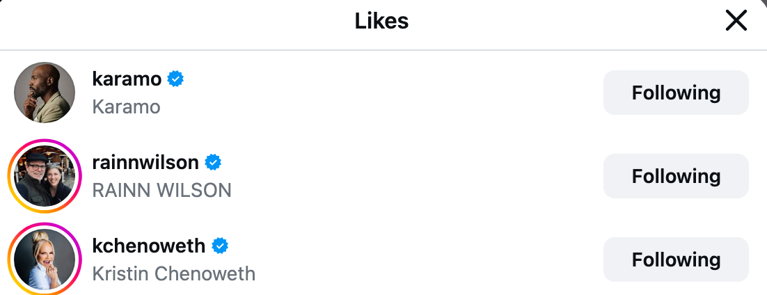 Screenshot of Instagram likes showing users Karamo, Rainn Wilson, and Kristin Chenoweth