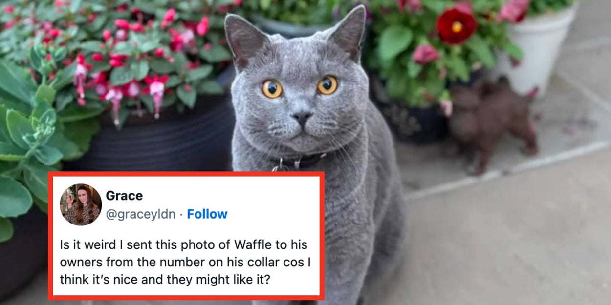 19 Wholesome Posts To Brighten Your Week