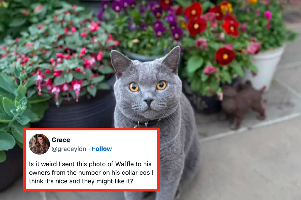 Everything Seems Awful Right Now, So Here Are 19 Posts On The Internet This Week That Might Actually Restore Your Faith In Humanity
