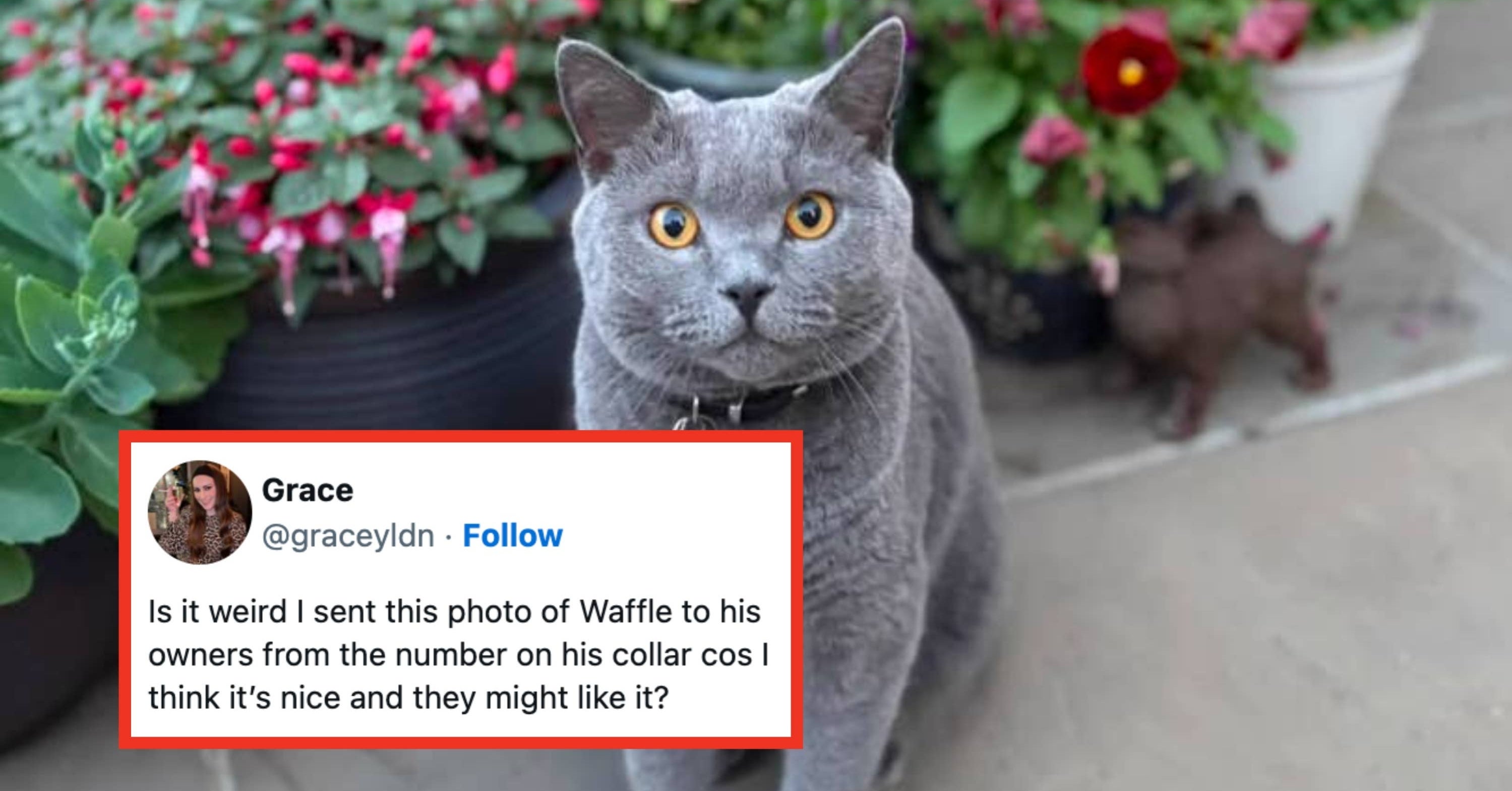Everything Seems Awful Right Now, So Here Are 19 Posts On The Internet This Week That Might Actually Restore Your Faith In Humanity