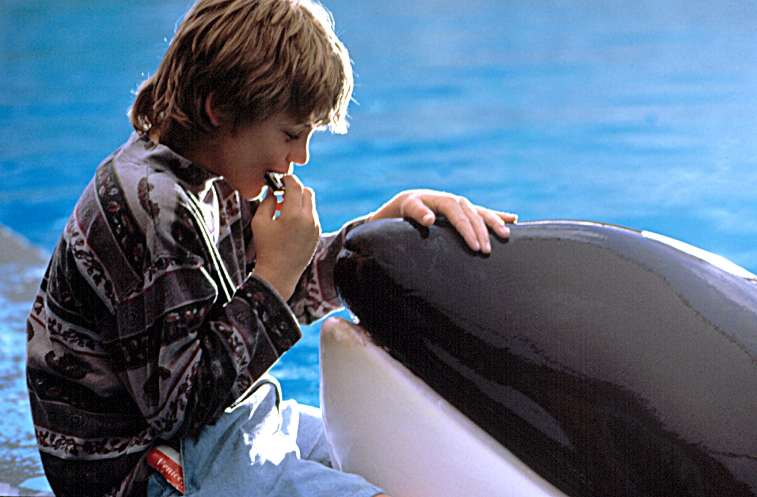 A child in patterned shirt sits beside a whale, gently touching it, creating a tender moment