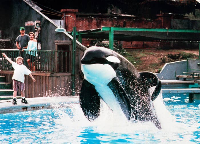 An orca leaps from a pool, thrilling three onlookers at an aquarium show