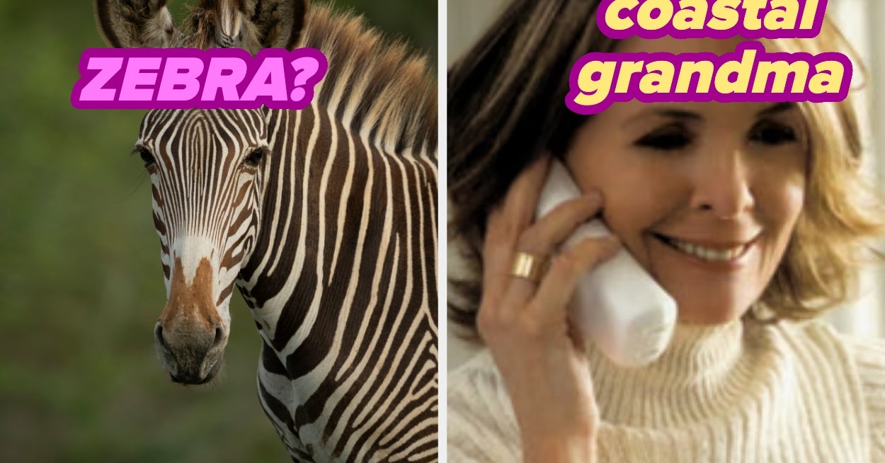 I Can Guess Your Dominant Summer Aesthetic Based On Your Trip To The Zoo
