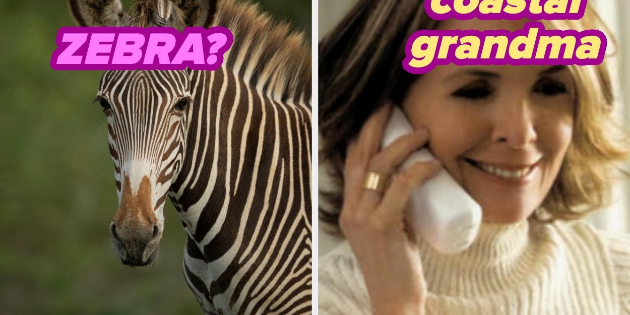 Go To The Zoo For A Day And I'll Reveal Your Summer Aura