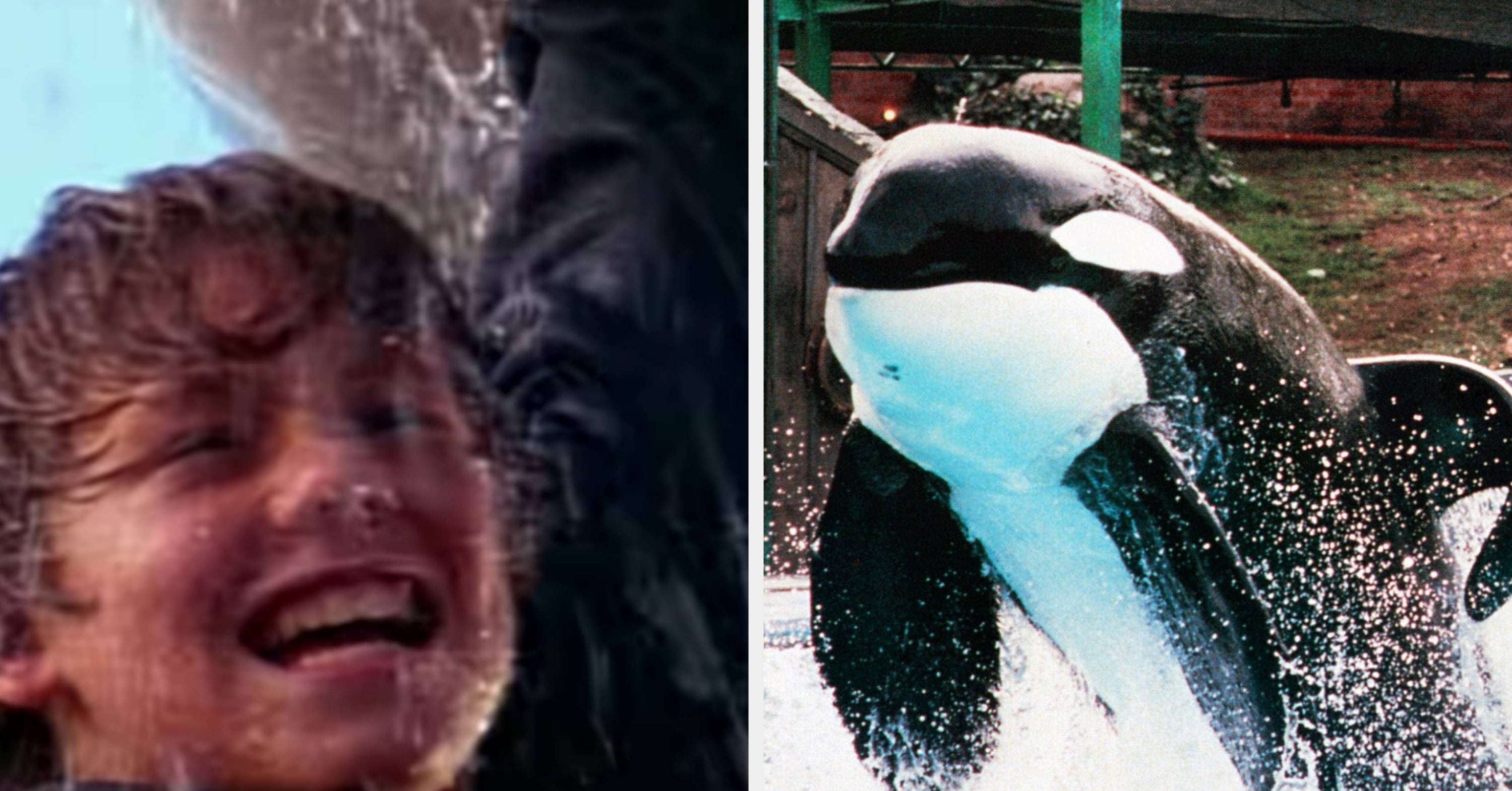 "Willy’s Been Freed Enough": There's A "Free Willy" Reboot Coming, And People Are Having The Most Hilarious Millennial-Coded Reactions