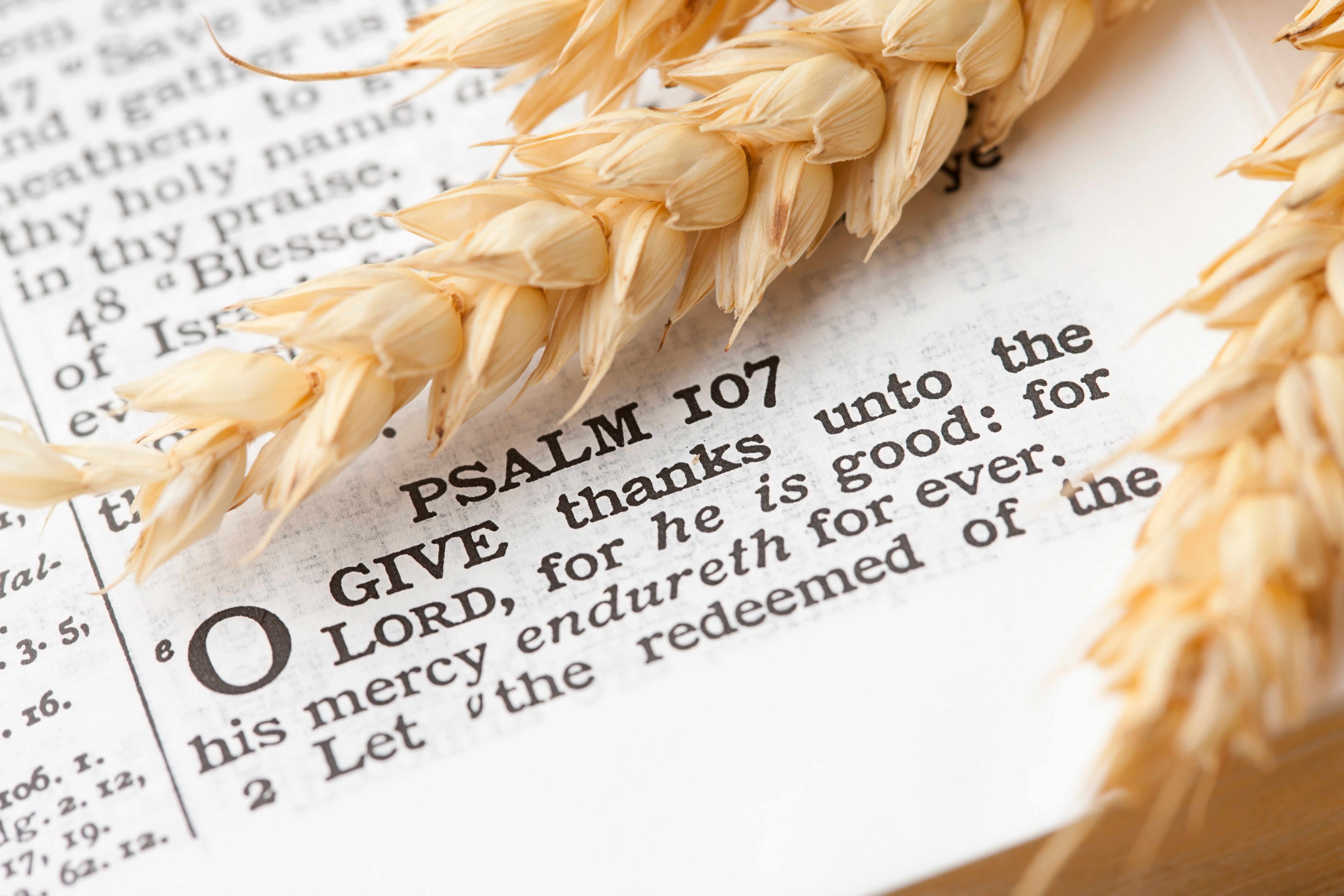 Nutritionists Weigh In On Viral Biblical Eating Trend