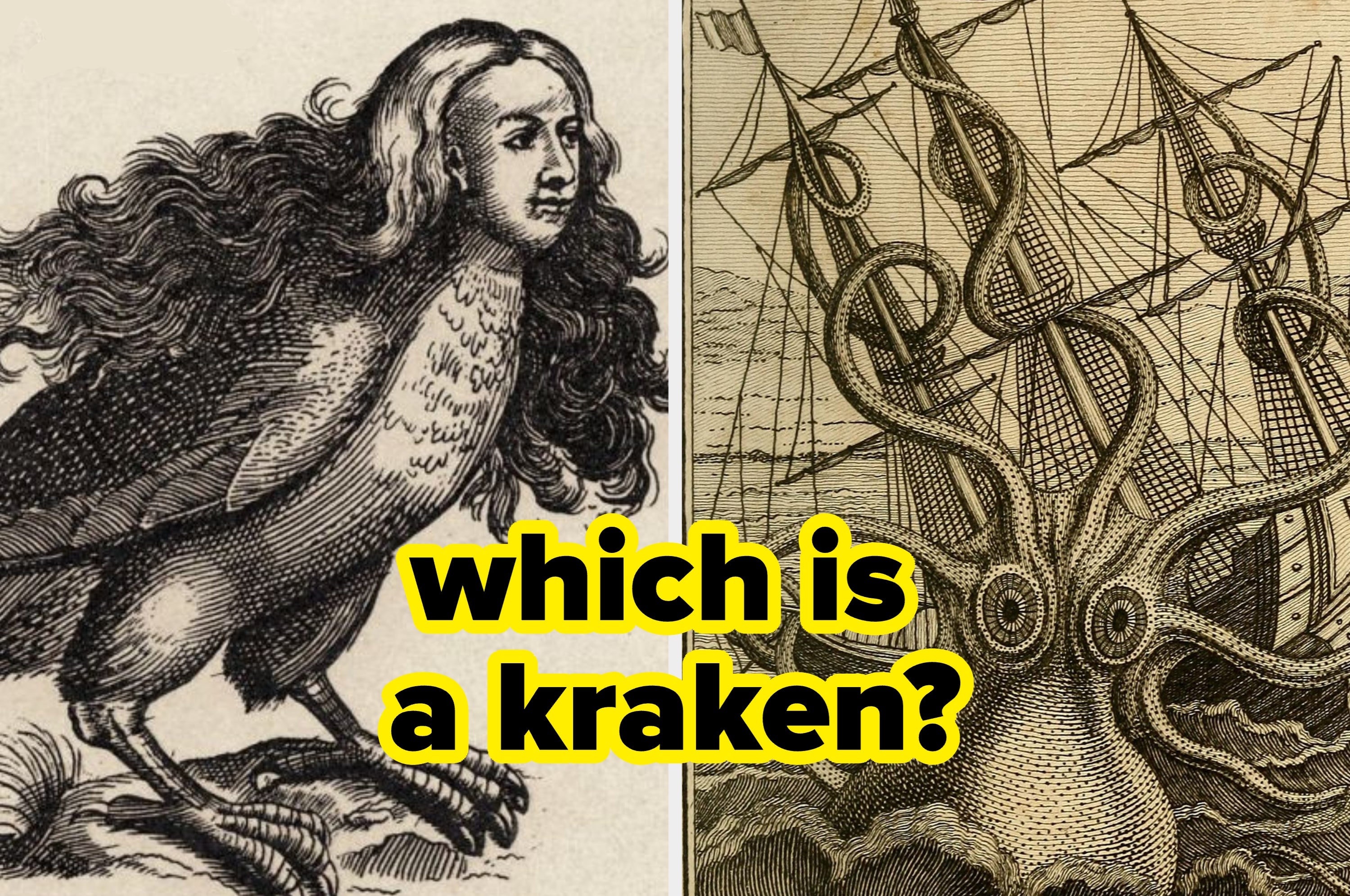 Illustration of a mythical harpy with human features and a kraken attacking a ship, with text "which is a kraken?" overlaid