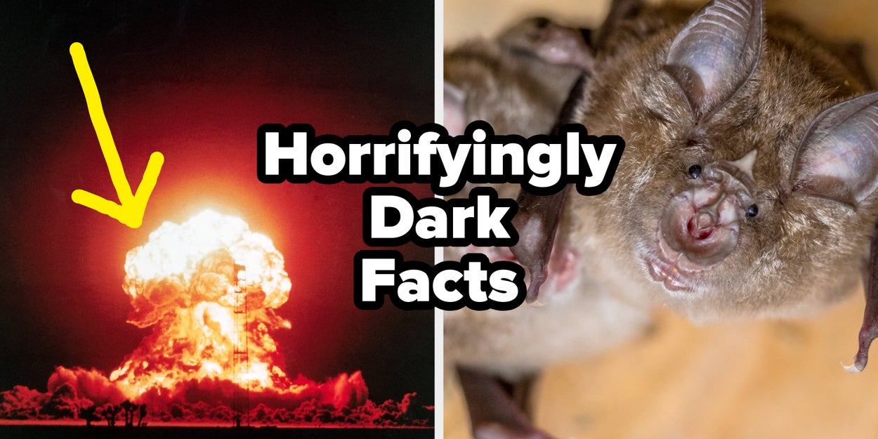 Dark Facts You've Never Heard Before