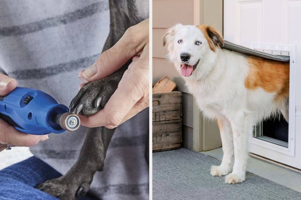 Person trims dog's nails with a tool; dog happily exits through a pet door
