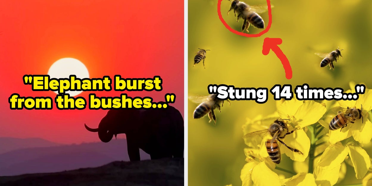People Share Unusual Near Death Experiences