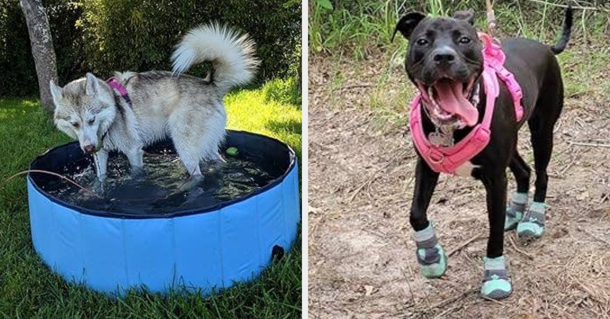 27 Products Your Dog Will *Adore* If Their Fave Place Is O-U-T-S-I-D-E