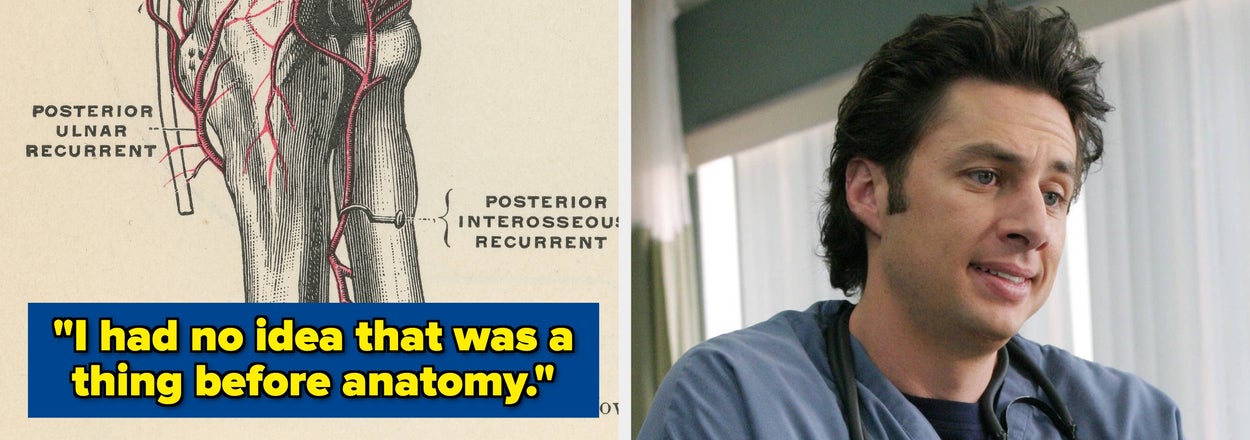"It Blew My Frickin' Mind": Med Students Are Sharing 19 Facts About The Human Body That Actually Made Them Stop And Say "Whoa"