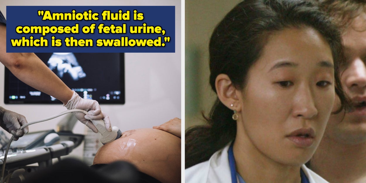 19 Wild Human Body Facts That Genuinely Blew Medical Students' Minds