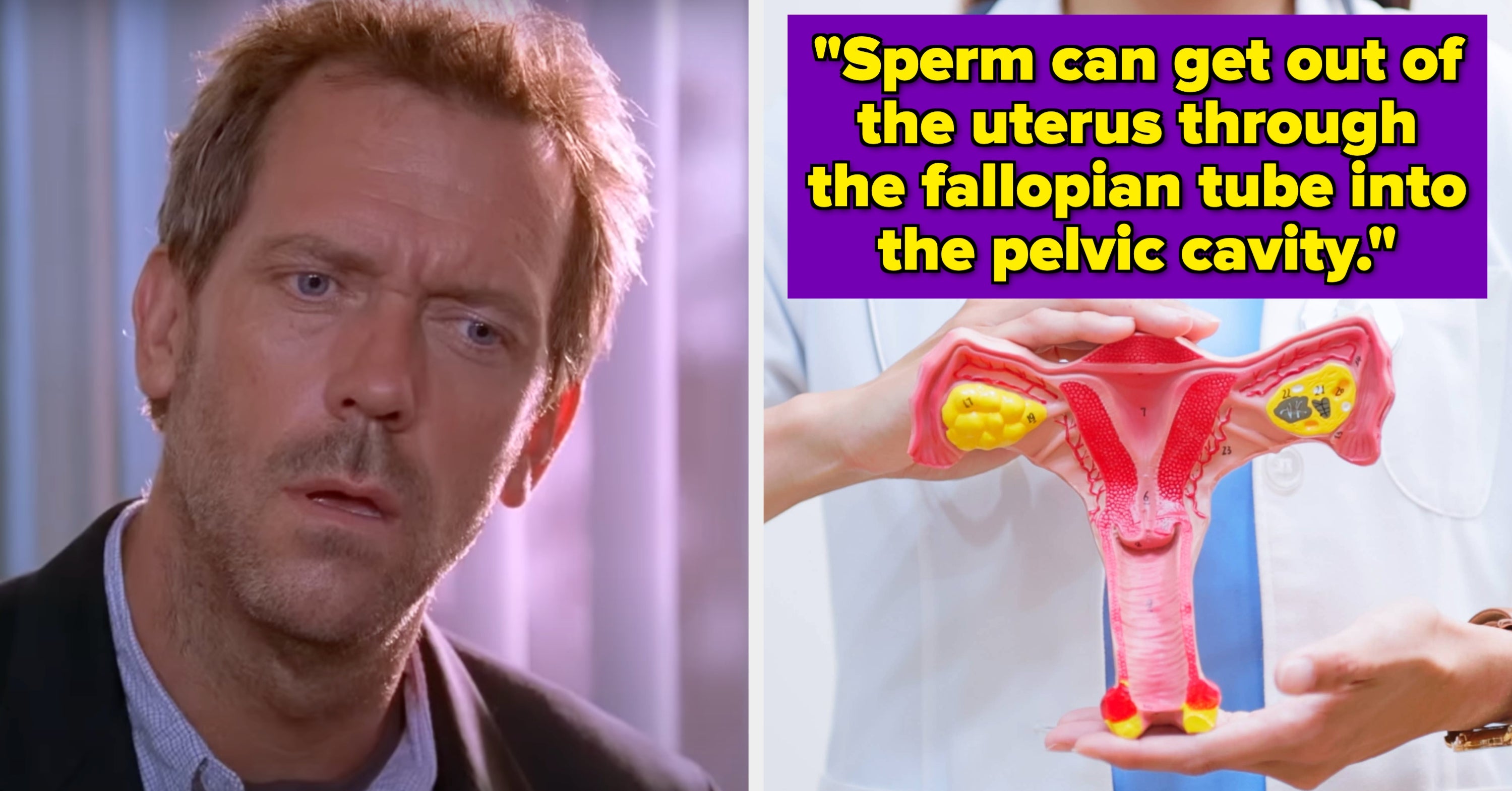 19 Of The Absolute Wildessssst Things About The Human Body People Learned About In Med School