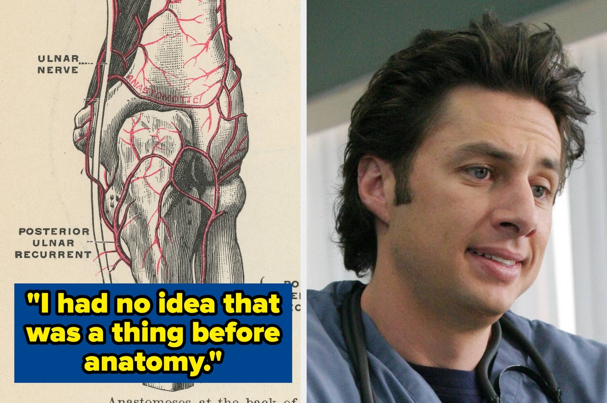 "It Blew My Frickin' Mind": Med Students Are Sharing 19 Facts About The Human Body That Actually Made Them Stop And Say "Whoa"