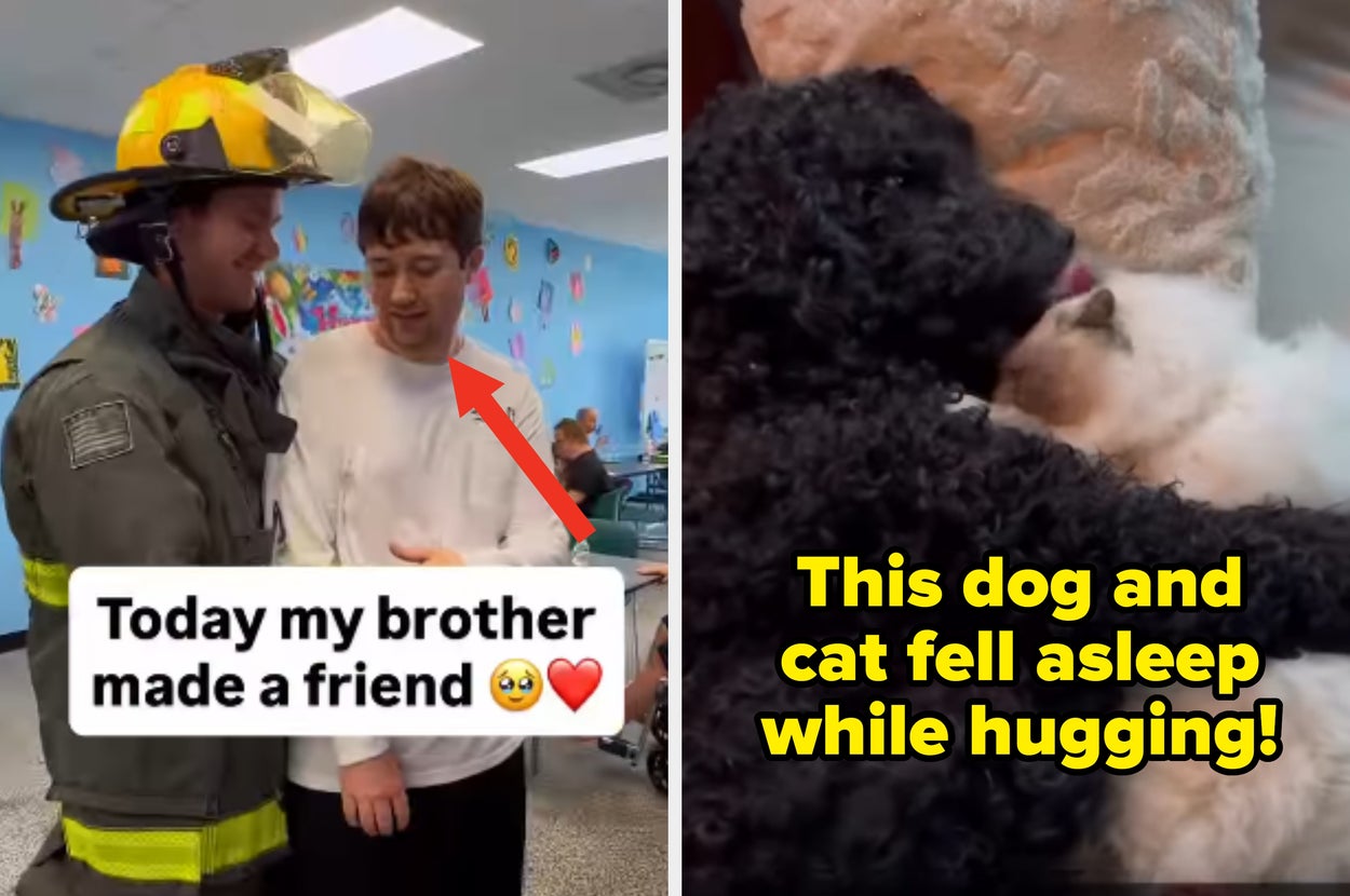 25 Uplifting Moments That'll Warm Your Heart