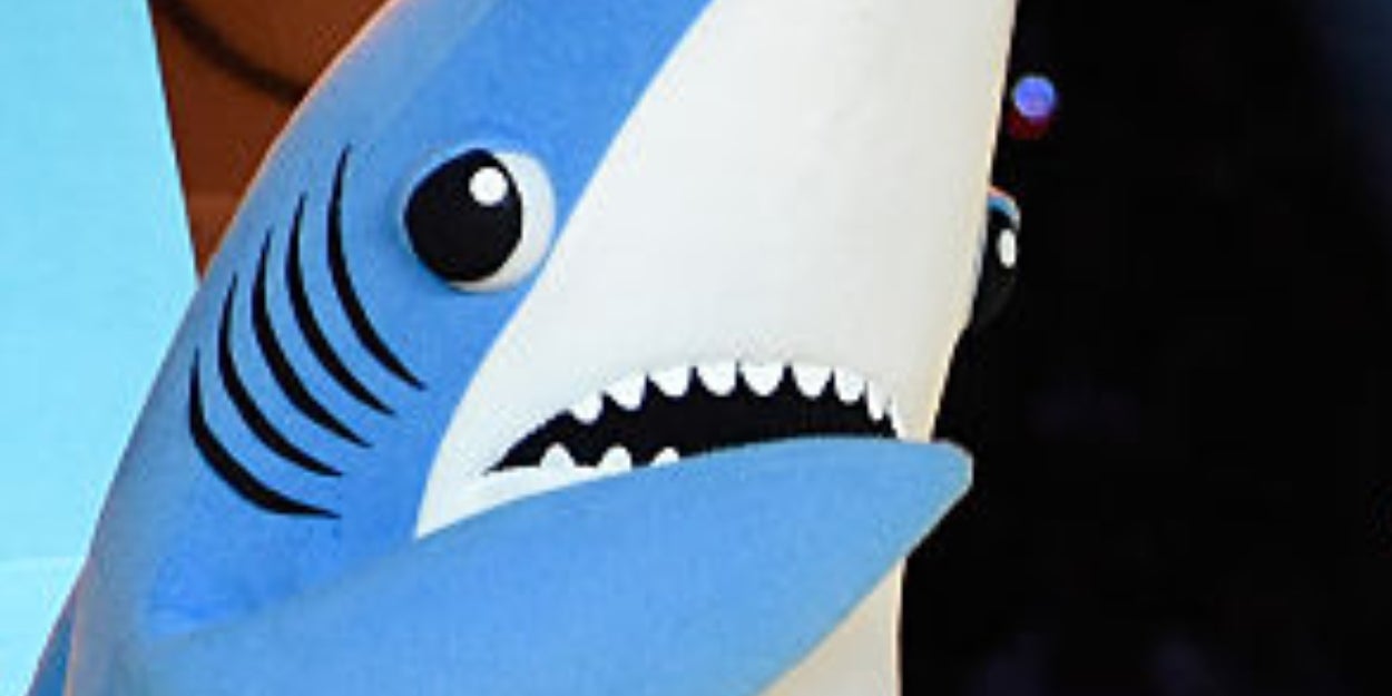 Everyone Has A Shark That Matches Their Personality — Plan A Beach Vacation To Discover Yours