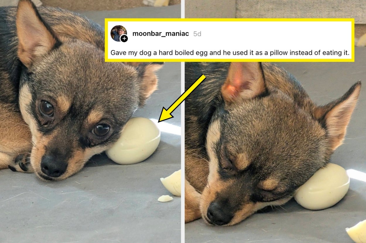 "I've Never Been So Embarrassed": I'm SOSOSOSO Sorry, But I Simply CANNOT Stop Laughing At These 37 Hysterical Fails From Last Week