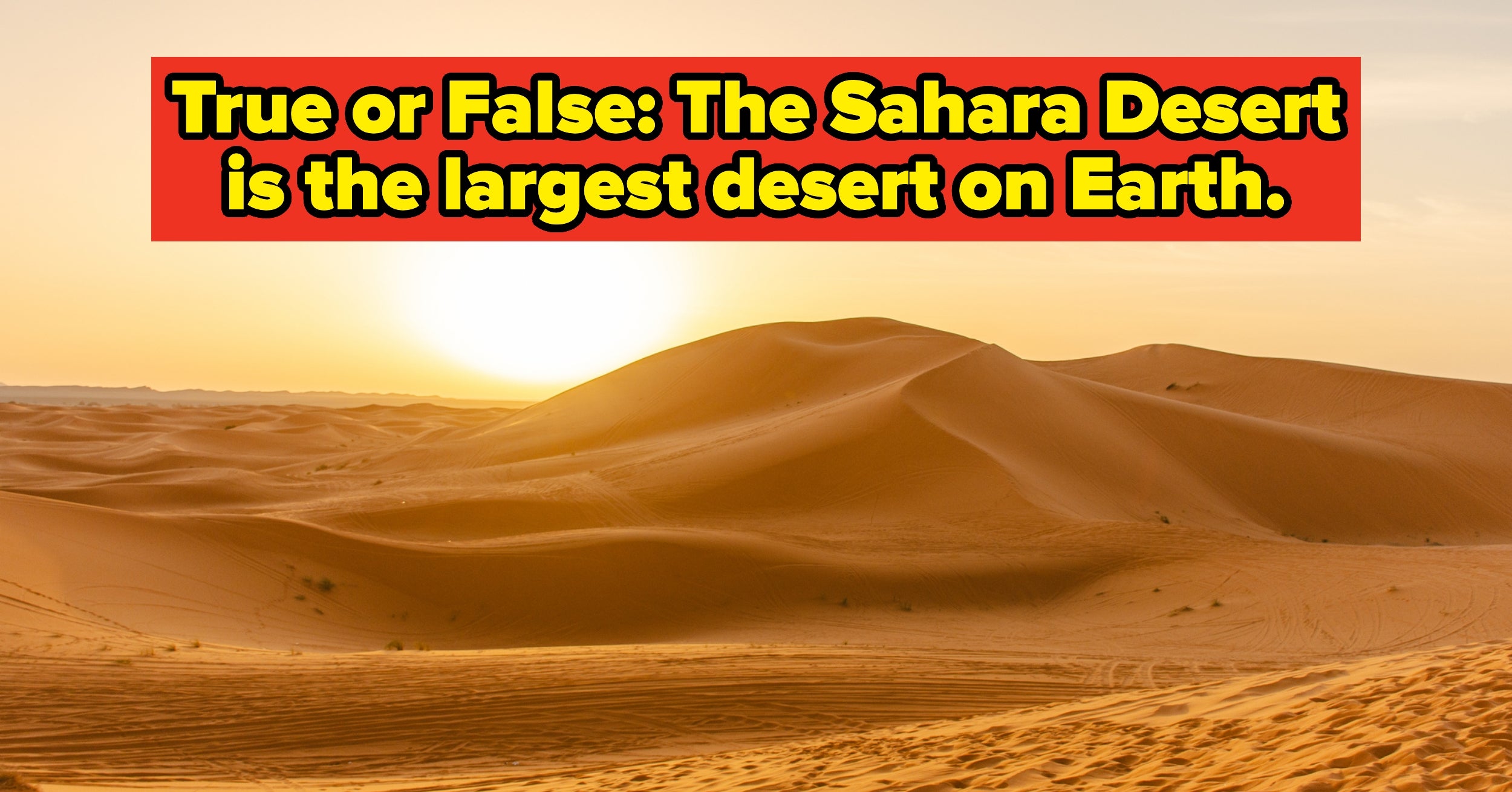 Most Adults Can’t Pass This Elementary School True Or False Test. Can You?