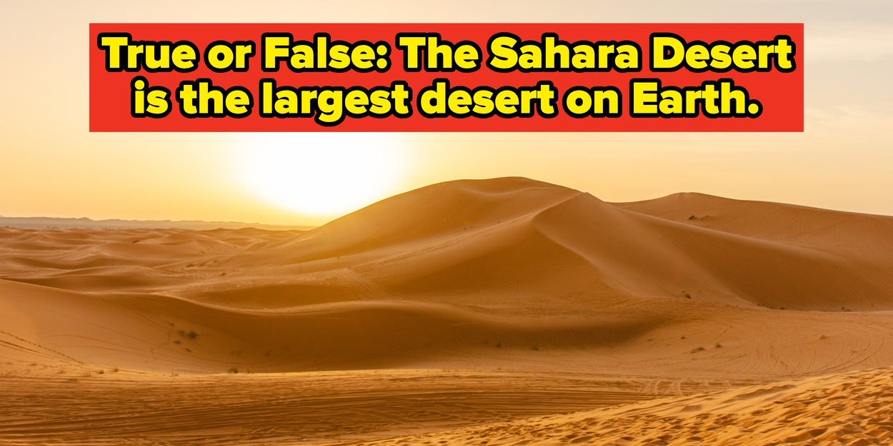 Most Adults Can’t Pass This Elementary School True Or False Test. Can You?