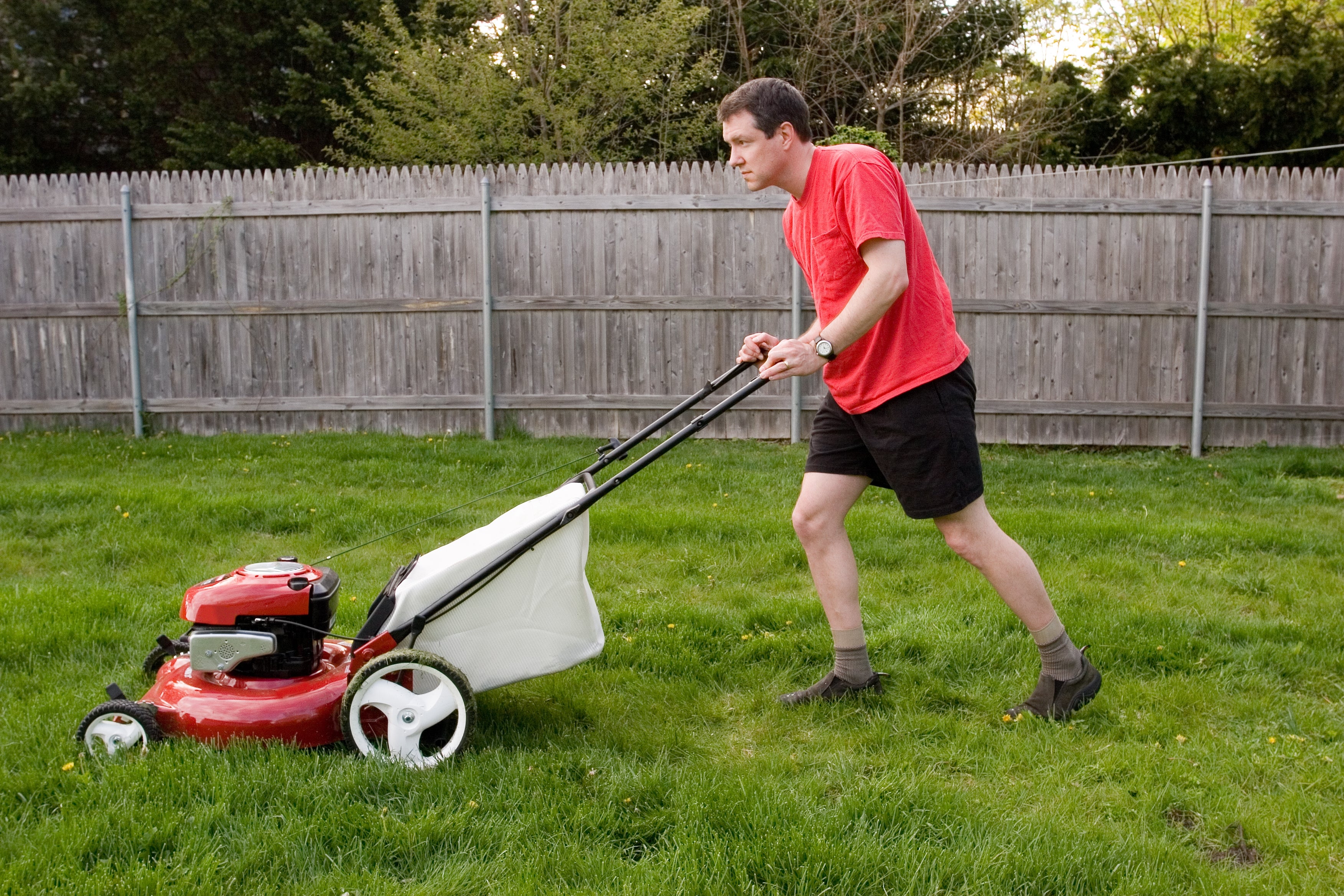 Person mowing the tract successful a backyard with a propulsion lawnmower, wearing casual shorts and a T-shirt