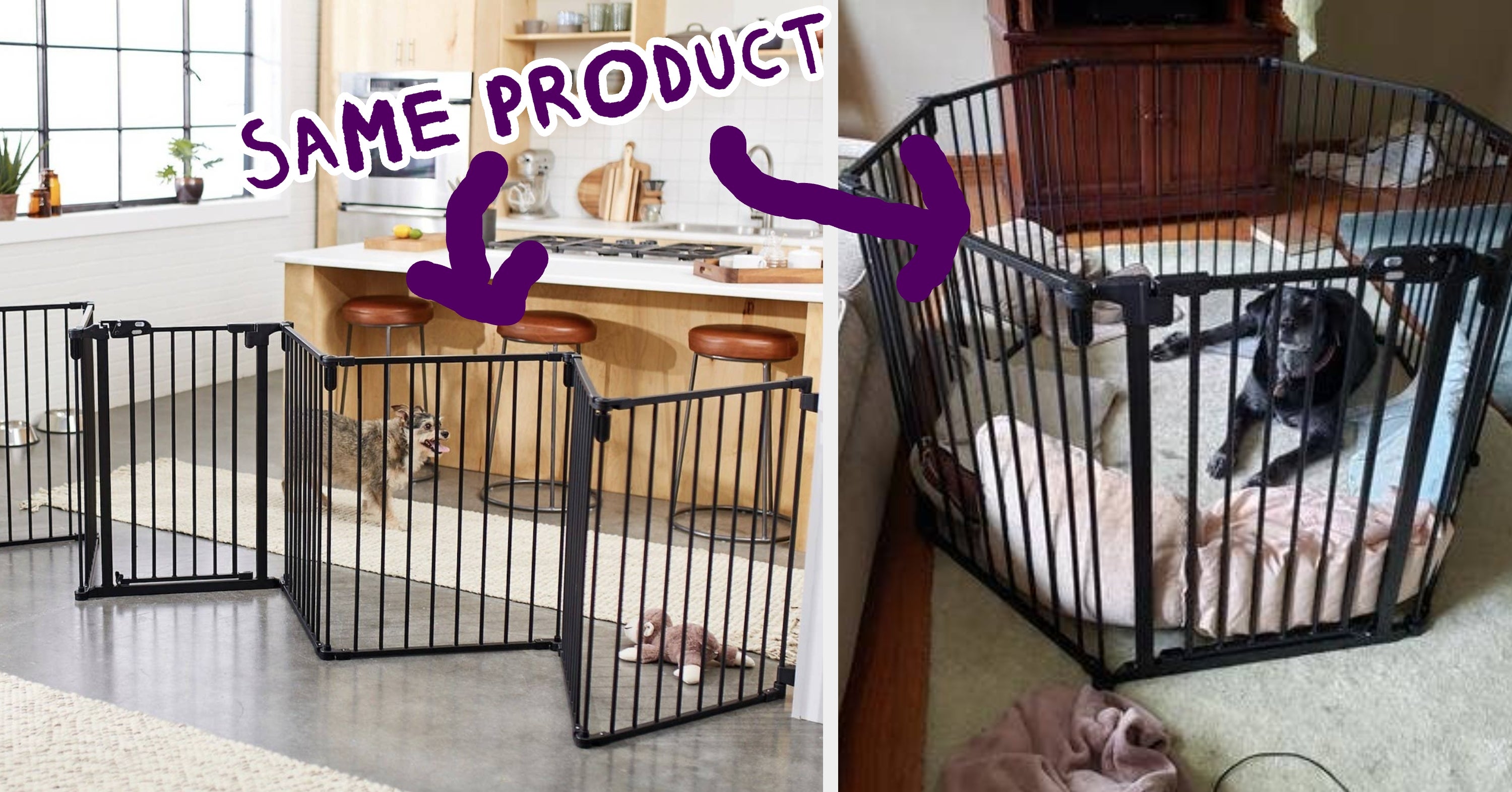 27 Things From Chewy That Deserve To Be Nominated For Awards