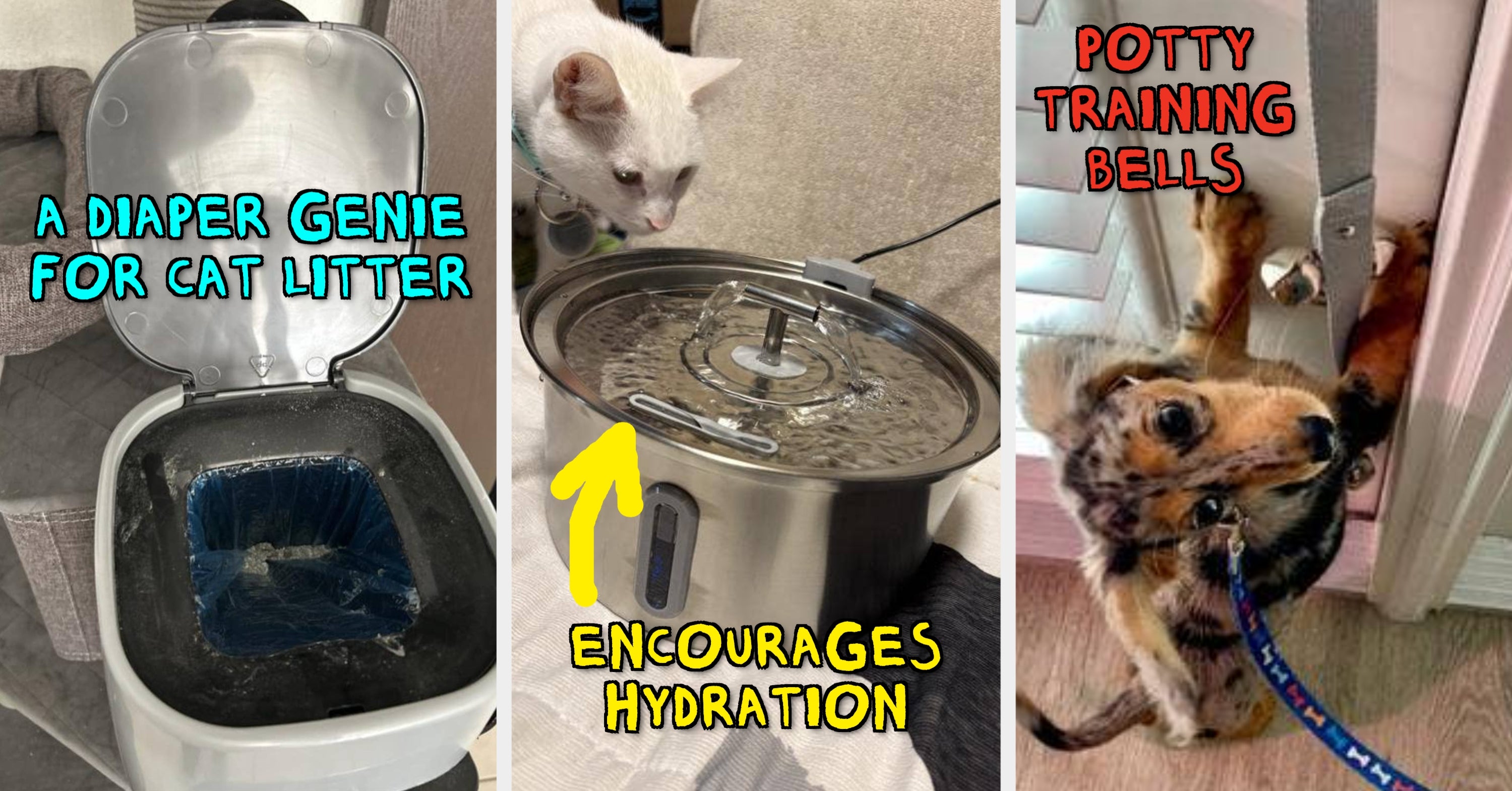 27 Things From Chewy That Deserve To Be Nominated For Awards