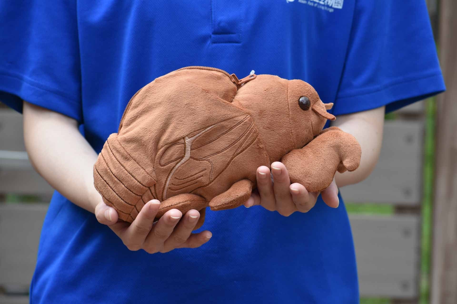 セミの幼虫のぬいぐるみを手に持つところ / 足立区生物園オンラインショップより